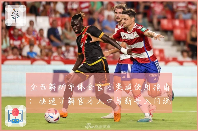 全面解析华体会官方渠道使用指南：快速了解官方入口与新手入门说明